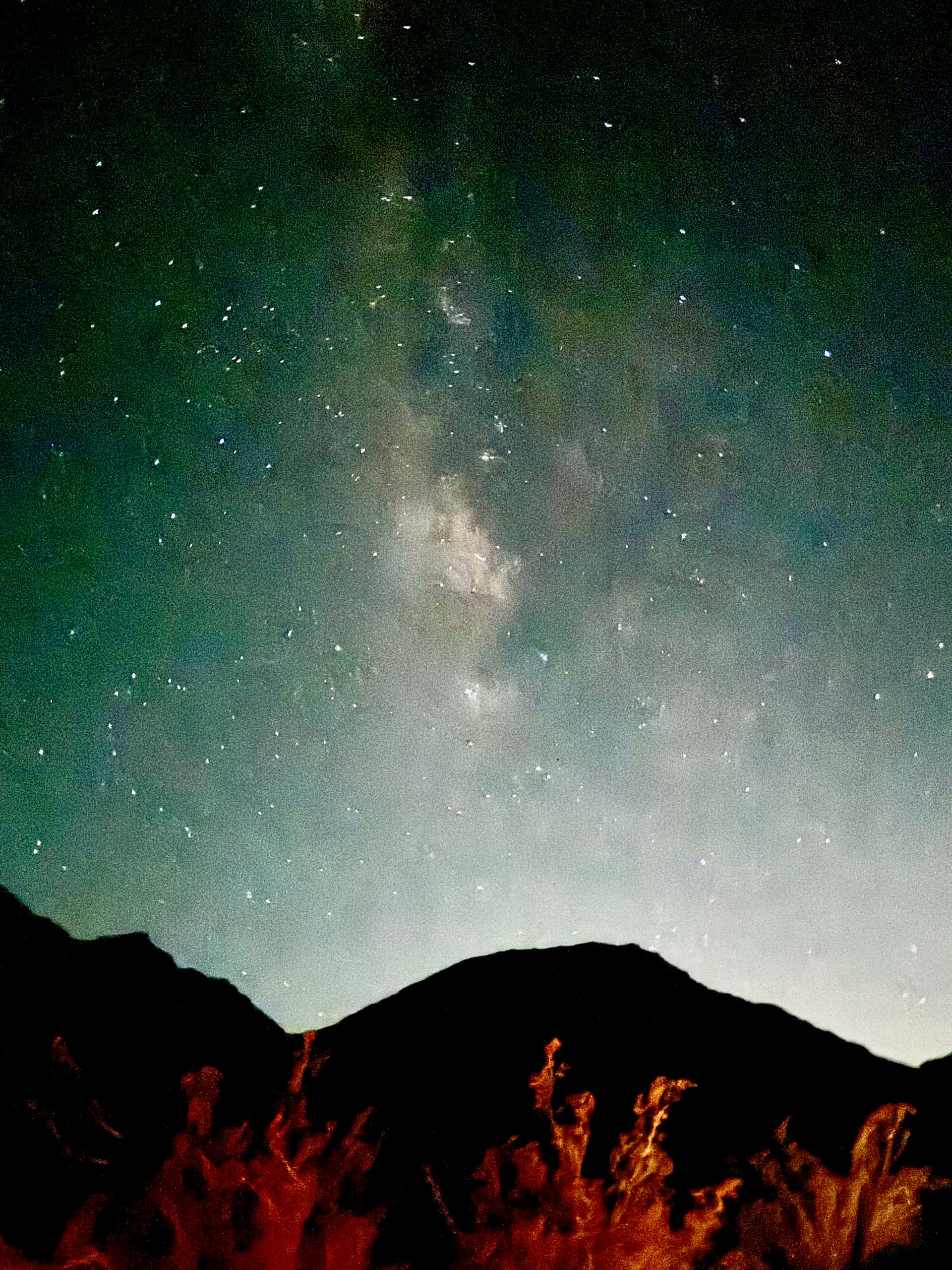 The Milky Way and green airglow over a mountain silhouette, with Joshua trees lit orange by a campfire in the foreground