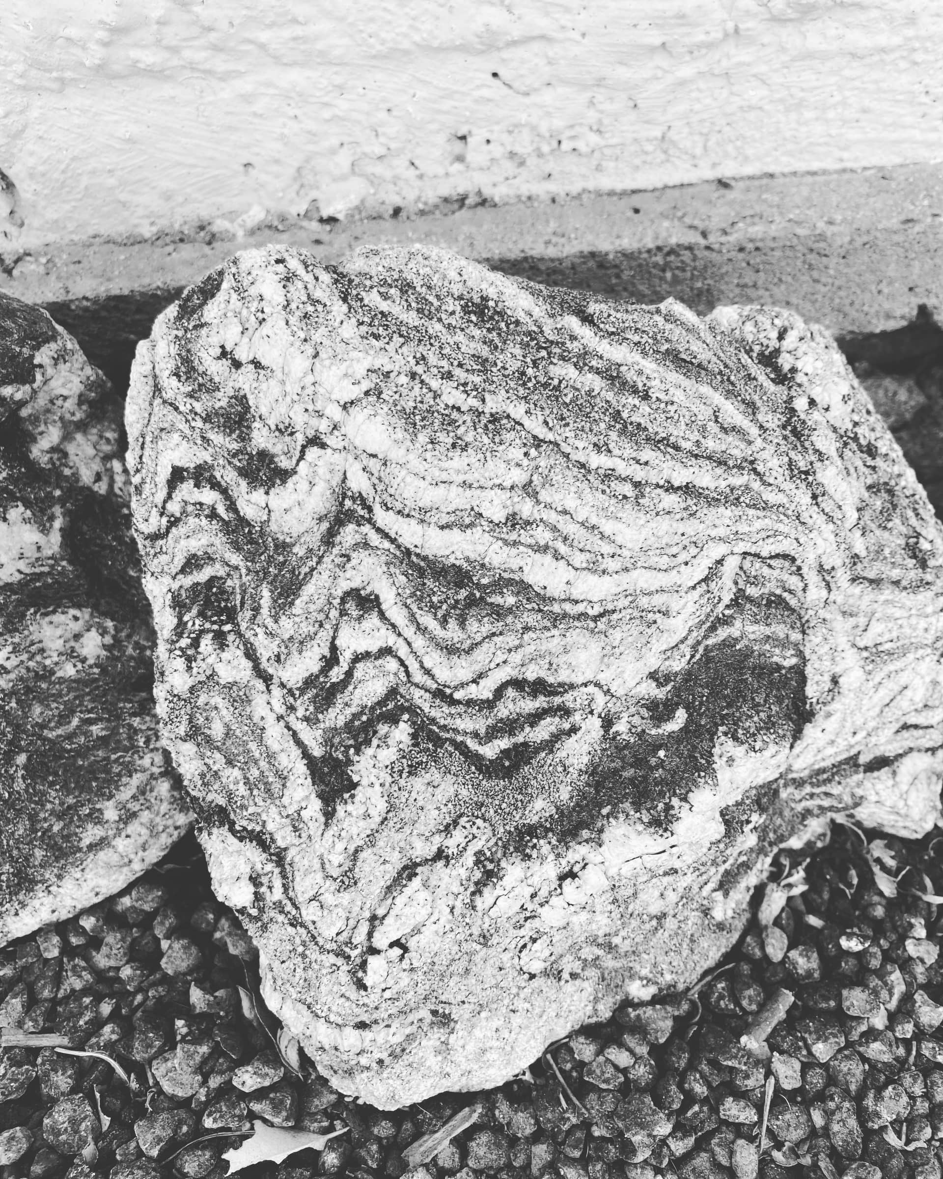 A large banded desert stone photographed in black and white, showing sharp chevron folds in alternating pale and dark mineral layers across its whole face