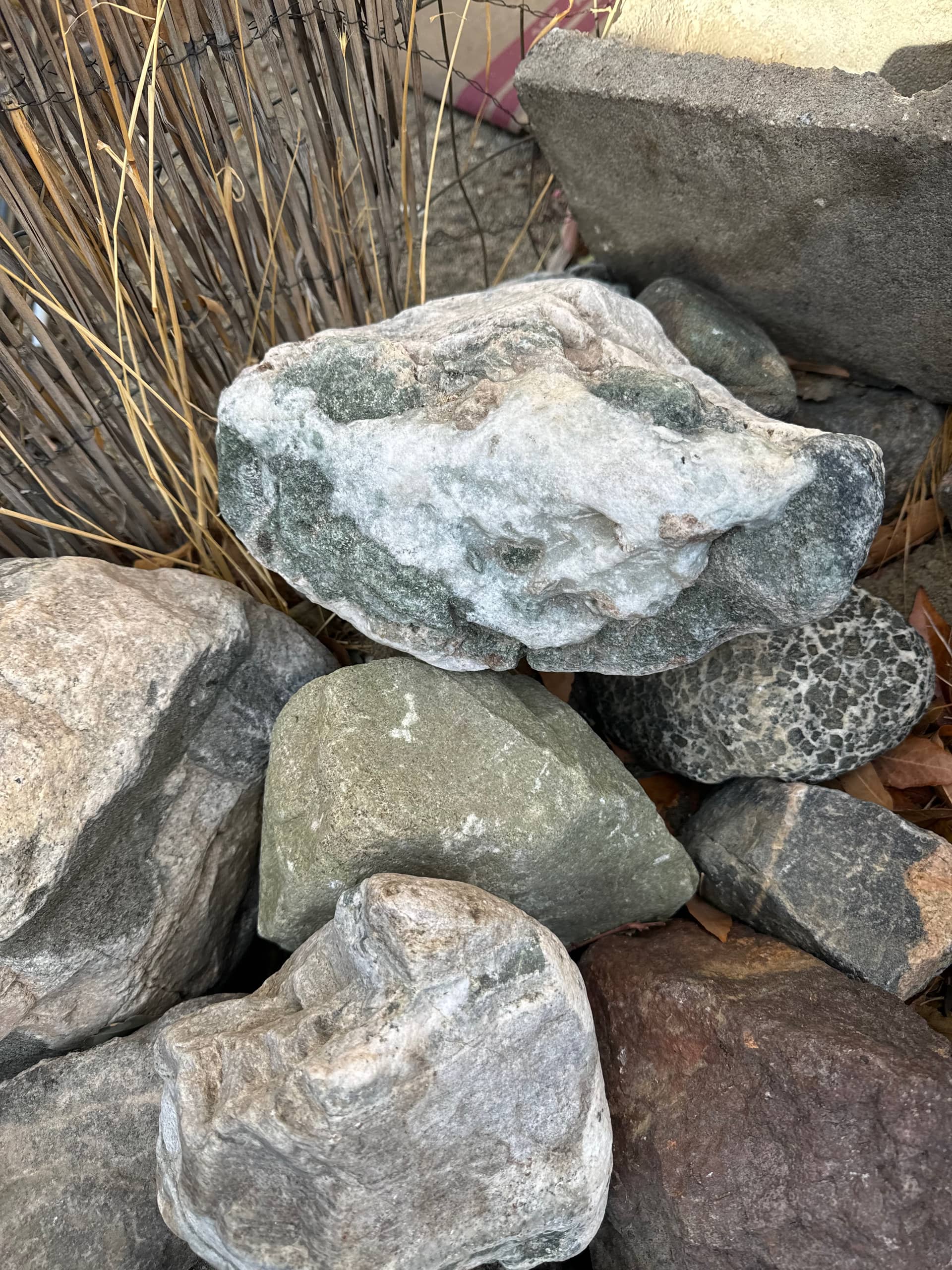 Desert stones including one with a crust of milky white quartz over a green mineral surface, a smooth olive-green cobble, and a dark pitted stone with a white mineral web across it