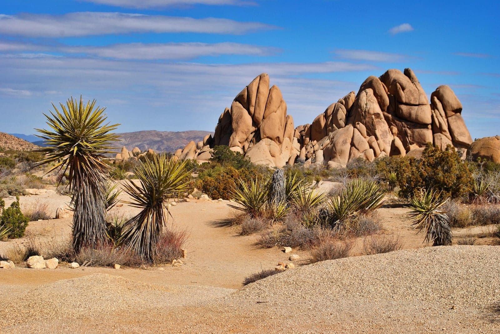 Joshua trees and yucca scattered across open desert flats below granite boulder piles