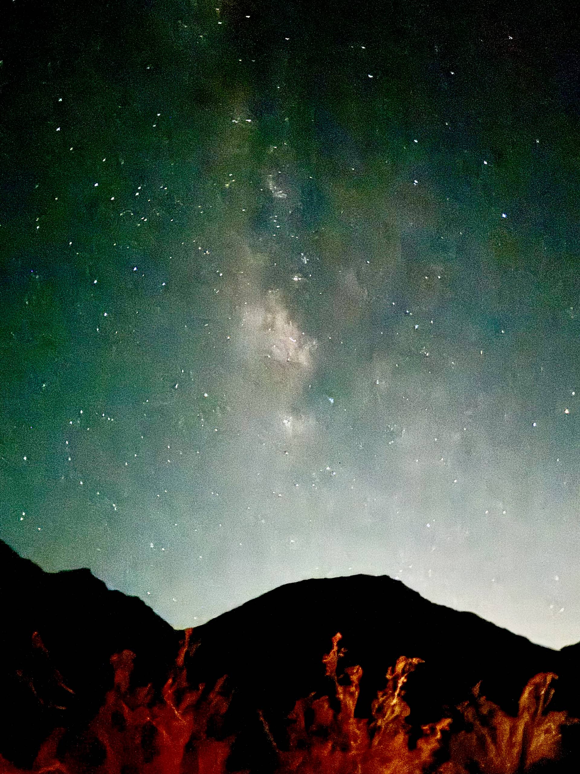 The Milky Way arching over Joshua trees with a campfire burning in the foreground of the high desert